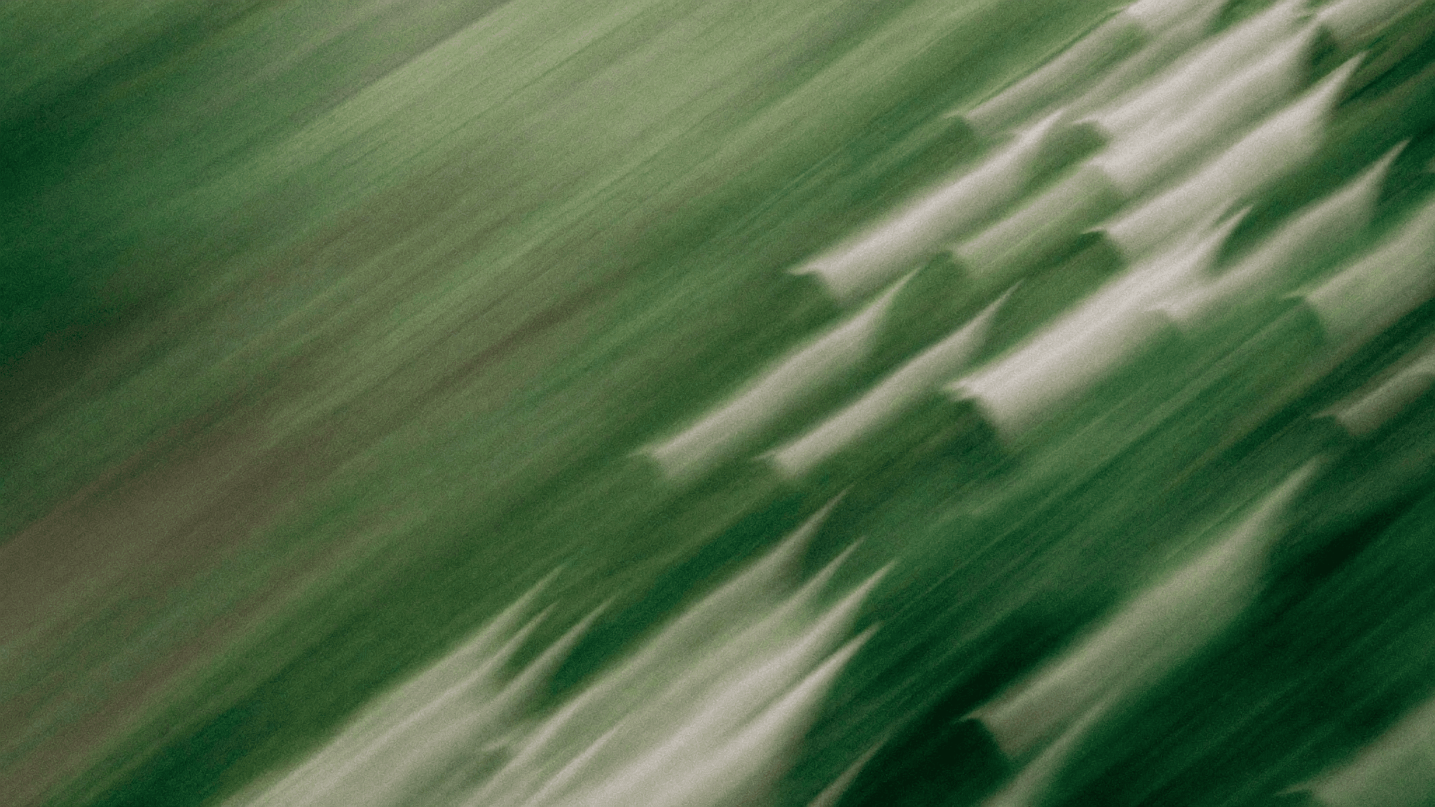 Sage-green long-exposure with white blossom streaks